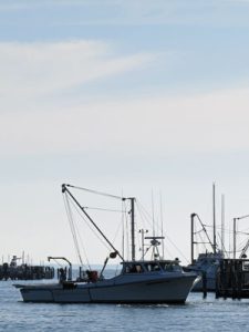 oyster boat chesapeake bay